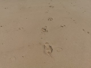 fracne atlantic coast beach summer