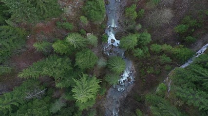 Creek winding through cliffs and forests seen from a drone