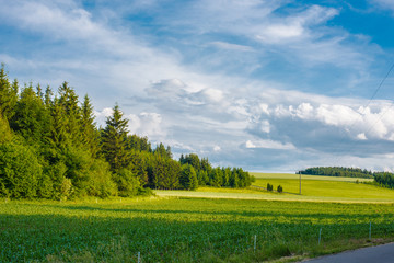 Beautiful green nature landscape with blue sky.