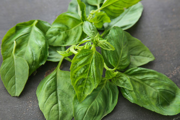 Fresh basil leaves on grey background