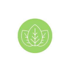 Contour of three white leaves in green circle. eco icon. isolated on white. Vector illustration.