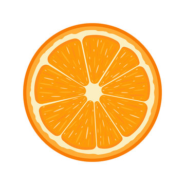 Fresh half orange fruit isolated on white background. Tangerine. Organic fruit. Cartoon style. Vector illustration for any design.