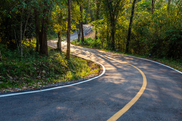 Road in the Forest, Thung Salaeng Luang National Park, Thailand
