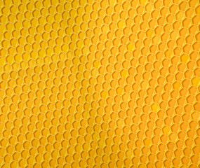 Honeycomb texture Background