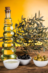 Olive oil, olive tree and green and black olives on a wooden table