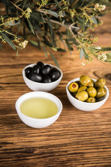 Olive oil, olive tree and green and black olives on a wooden table