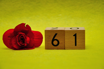 Number sixty one with a red flower on a yellow background