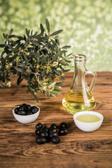 Olive oil and olive tree and black olives and bottles with olive on a wooden table