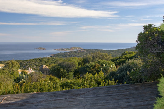 Beautiful landscape macchia vegetation archipelago Sardinia