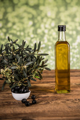 Olive tree and bottles with oil, olives on a wood table.