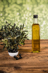 Olive tree and bottles with oil, olives on a wood table.