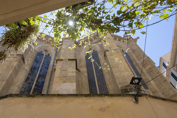 Basilica Sant Francesc Palma de Mallorca © artesiawells