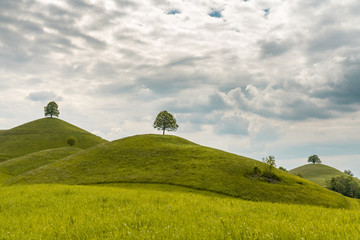 Teletubbies Land in der Schweiz