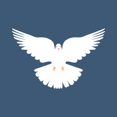 Obraz na płótnie Canvas High quality vector illustration of the christian dove flying - purity of the faith representation. Isolated bird animal vector illustration