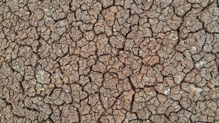dry cracked earth