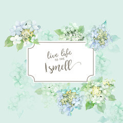 Watercolor Hydrangea,can be used as invitation card for wedding, birthday and other holiday and summer background
