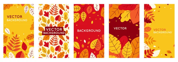 Foto op Canvas Vector set of abstract backgrounds with copy space for text - autumn sale © venimo
