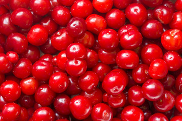 cherries background