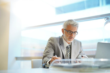 Mature businessman working in contemporary office