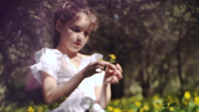 A girl of 9 years old with braided pigtails, in the forest among beautiful nature, gathers wild flowers. Video with optical distortion stylized under the old film.