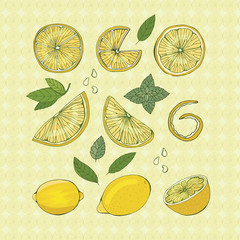 Color fruit set in realistic style. Different variations of lemon, lime, citrus. Isolated on white background. Vector illustration, hand drawing.