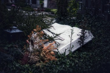 Tagebuch des blauen Planeten