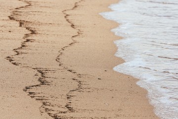 Beach, sand and foam of the water