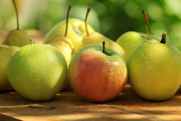 Fresh, garden apples with water drops on the surface.