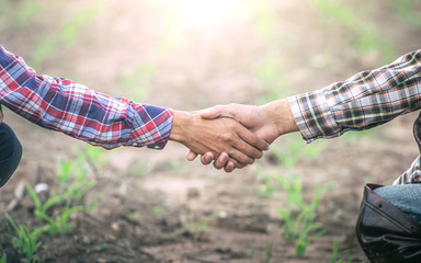 Two farmer sitting and shaking hands in young corn field. agricultural business concept.