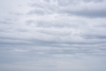 Gray sky covered by a summer morning by the sea