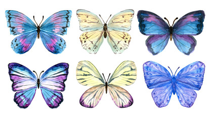 Obraz na płótnie Canvas Butterflies painted by hand in watercolor. Gentle and bright. Moths and hawk moths. Watercolor set