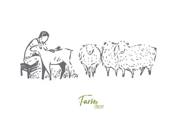 Collecting wool concept sketch. Isolated vector illustration