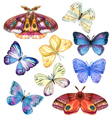 Butterflies painted by hand in watercolor. Gentle and bright. Moths and hawk moths. Watercolor set