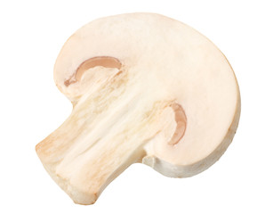 Fototapeta premium mushrooms isolated on white background. top view