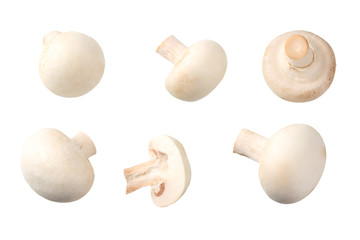 mushrooms with slices isolated on white background. top view