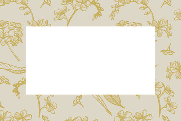 Collection of hand drawn flowers and plants. Botany. Set. Vintage flowers. Black and white illustration in the style of engravings. Card template on romantic background. Graphic illustration.