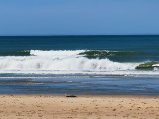 Fototapeta na wymiar fracne atlantic coast beach summer