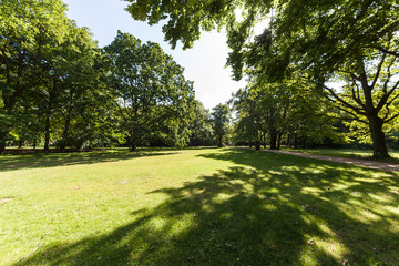 Tiergarten in Berlin