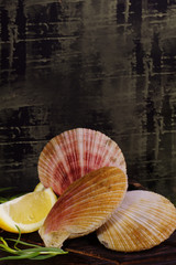Scallops in shells lie with lemon and herbs on a dark board before cooking.
