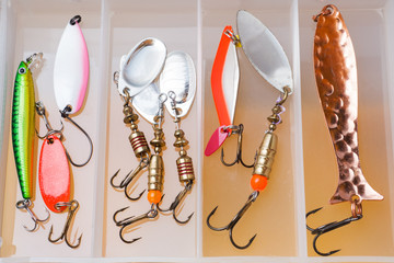 Fishing hooks and bait in a set for catching different fish.