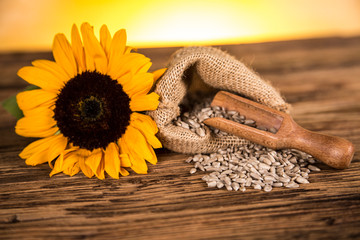 Sunflower flower and sunflower seeds in a sack. Sunflower oil products on a wooden table
