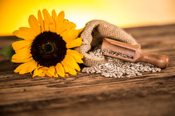 Sunflower flower and sunflower seeds in a sack. Sunflower oil products on a wooden table