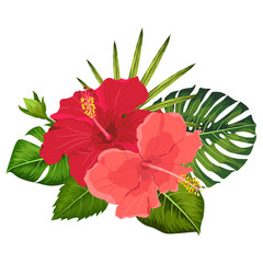 Set of tropical flowers elements. Collection of hibiscus flowers on a white background. Vector illustration bundle.