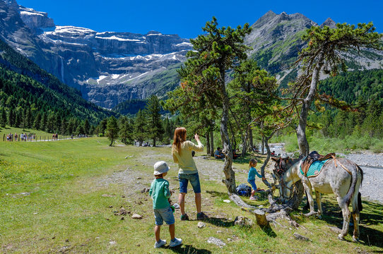 Pyrenees National Park, Hautes-Pyrenees, donkey ride in the Cirque de Gavarnie (UNESCO World Heritage)