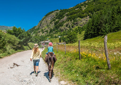 Pyrenees National Park, Hautes-Pyrenees, donkey ride in the Cirque de Gavarnie (UNESCO World Heritage)