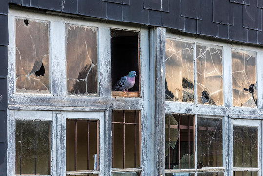 France, Pyrenees-Atlantiques, Oloron-Sainte-Marie (French Town of Art and History), broken windows of an old workshop by the Gave d'Aspe