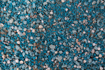 Blue pebbles with shells, different color and size. Background. Copy space. There is a place for text.