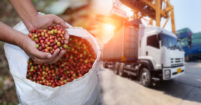 Red cherry coffee bean Fruit and food distribution, tropical fruit of Thailand .Truck loaded with containers ready to be shipped to the market.