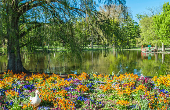 France, Gironde, Bordeaux, lake in the Parc Bordelais