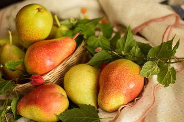 fresh fruits and vegetables